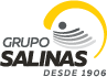 Dentro de esta imagen se encuentra el logo de Grupo Salinas